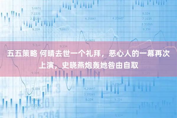 五五策略 何晴去世一个礼拜，恶心人的一幕再次上演，史晓燕炮轰她咎由自取