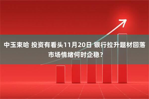 中玉束哈 投资有看头11月20日 银行拉升题材回落 市场情绪何时企稳？