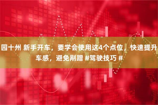园十州 新手开车，要学会使用这4个点位，快速提升车感，避免剐蹭 #驾驶技巧 #